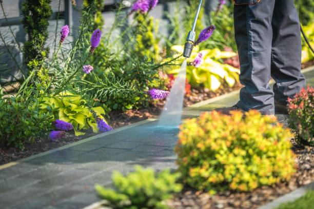Best Winterizing Services  in Bawcomville, LA