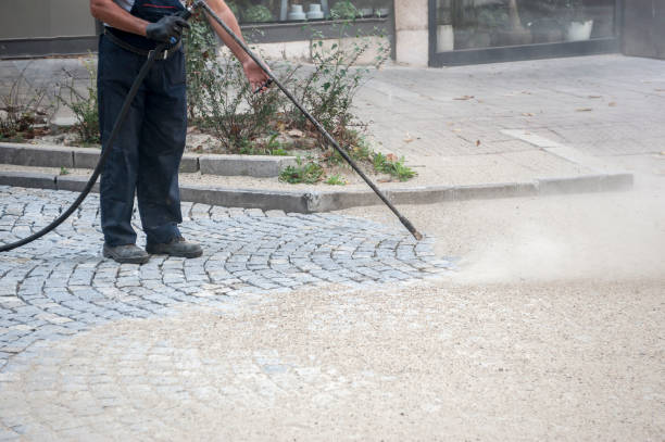 Best Fence Cleaning  in Bawcomville, LA